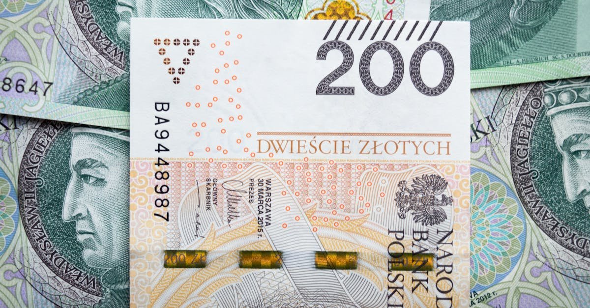 Kapitał na start działalności: skąd go wziąć i jak wykorzystać z głową