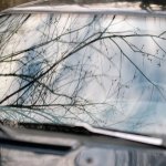 Zatrzymaj upał za szybą: wybierz osłonę, która naprawdę działa